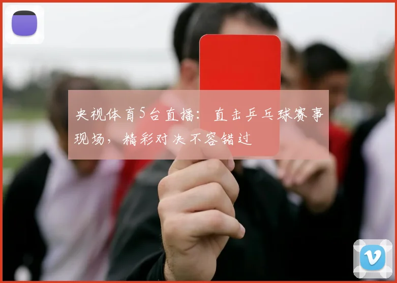 央视体育5台直播：直击乒乓球赛事现场，精彩对决不容错过