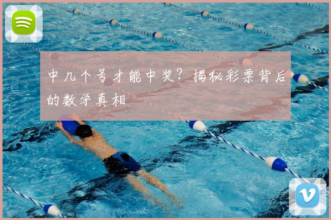 中几个号才能中奖？揭秘彩票背后的数学真相