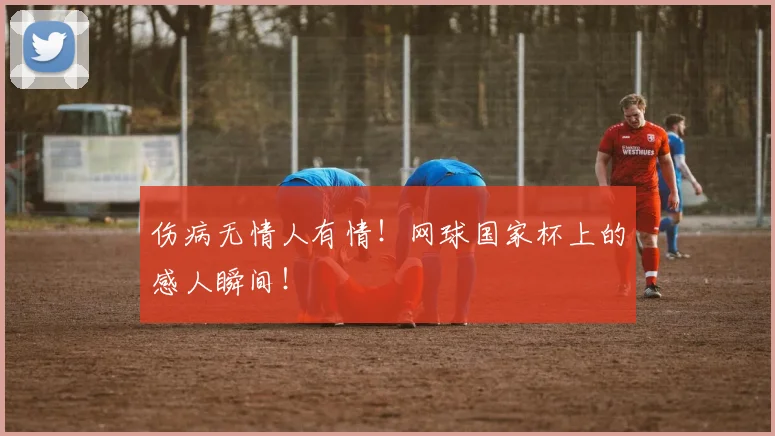 伤病无情人有情！网球国家杯上的感人瞬间！