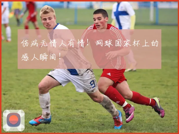 伤病无情人有情！网球国家杯上的感人瞬间！