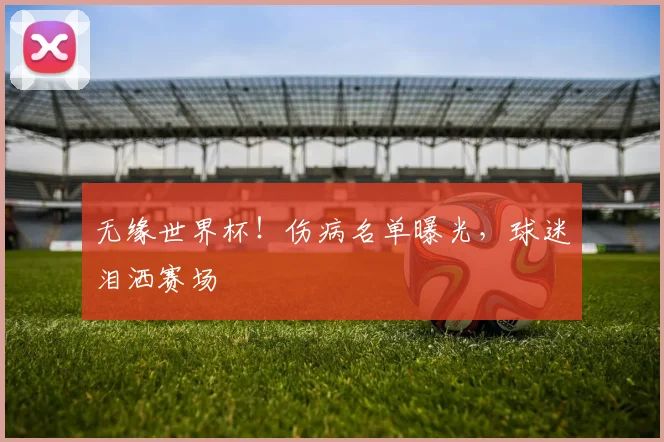 无缘世界杯！伤病名单曝光，球迷泪洒赛场