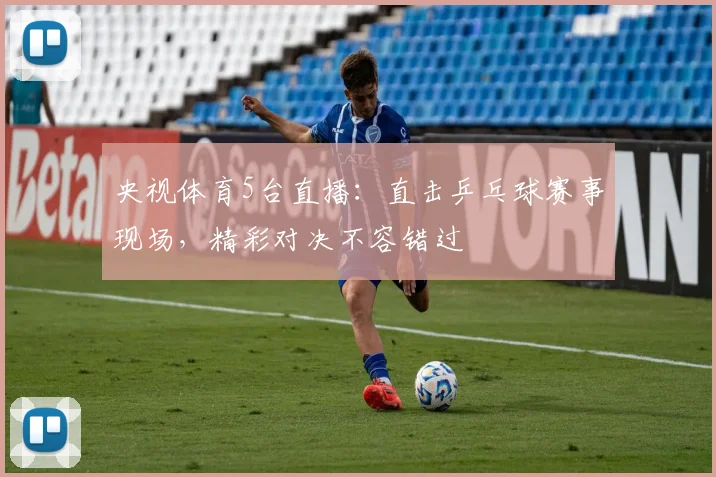 央视体育5台直播：直击乒乓球赛事现场，精彩对决不容错过